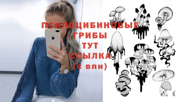тгк Надым