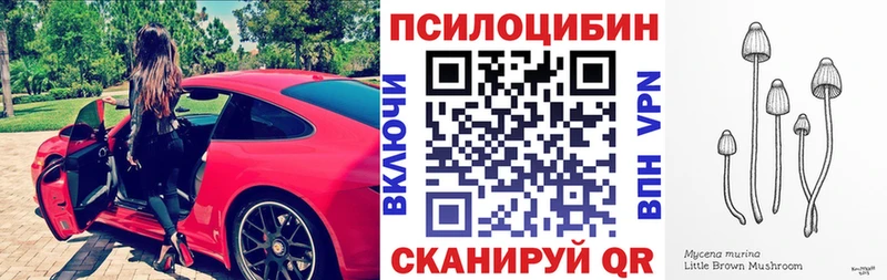 как найти закладки  Малаховка  Псилоцибиновые грибы MAGIC MUSHROOMS 