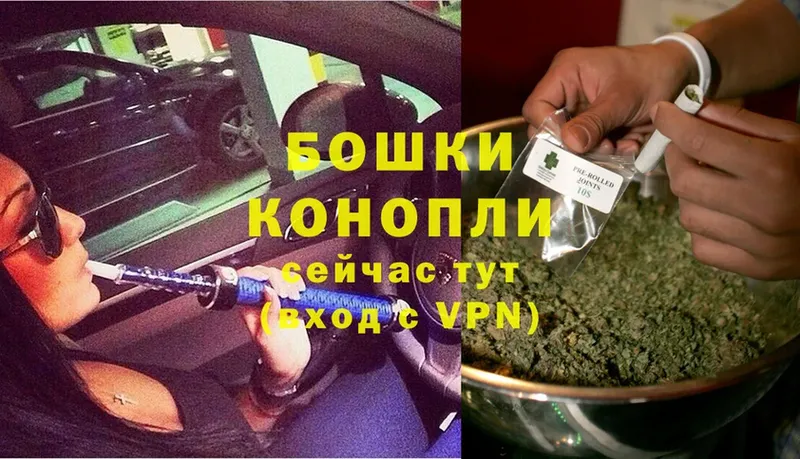 Бошки марихуана SATIVA & INDICA  Малаховка 